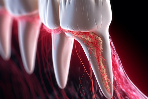 2025年新大同地区口腔医院地址汇总及便捷到院交通路线指南，助您轻松找到专業口腔医疗服务！